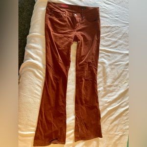 Brown Adriano Goldschmied corduroy pants. Size 29R